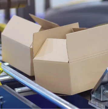 CASE & CARTON SEAL